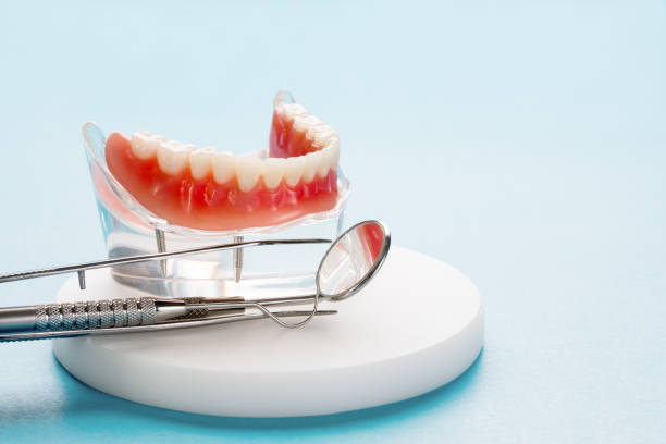 Professional Holistic Dental Care Services in Carney, MD